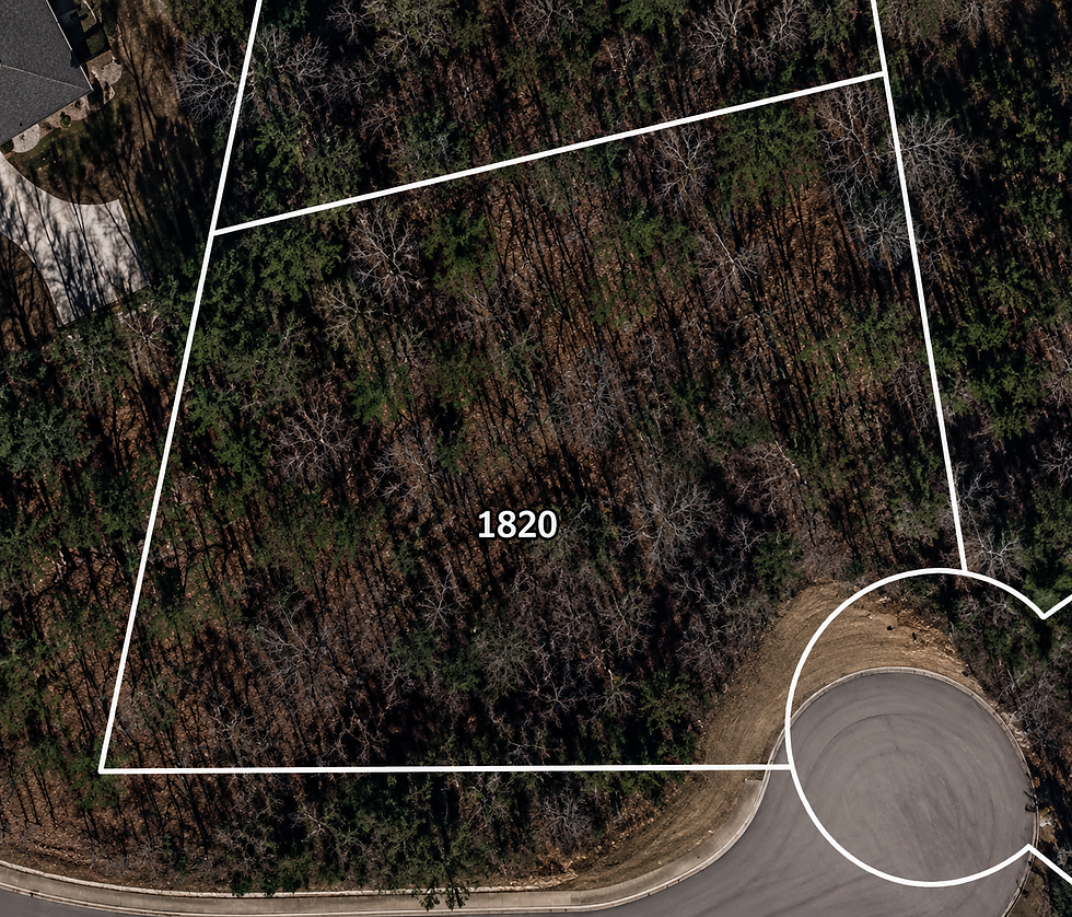 lot-wooded-1-vj_1t5CE.jpg