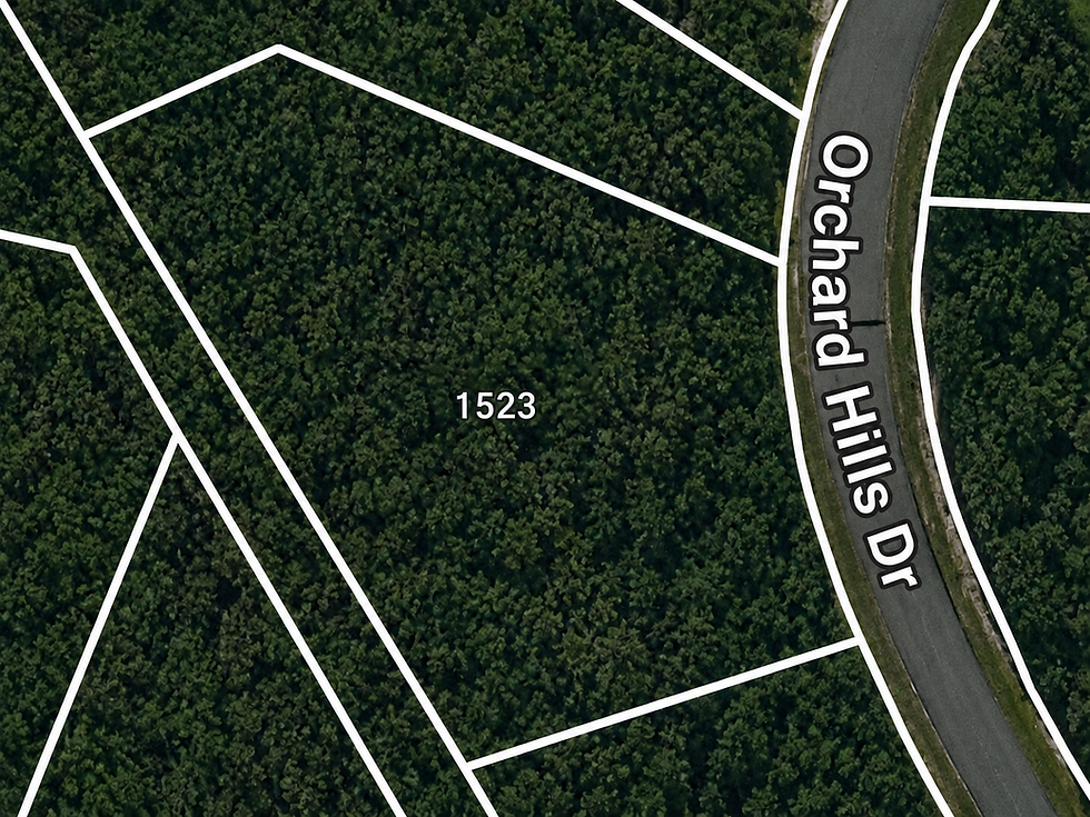 lot-wooded-1-vj_1t5CE.jpg
