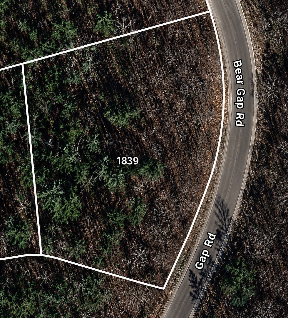lot-wooded-1-vj_1t5CE.jpg