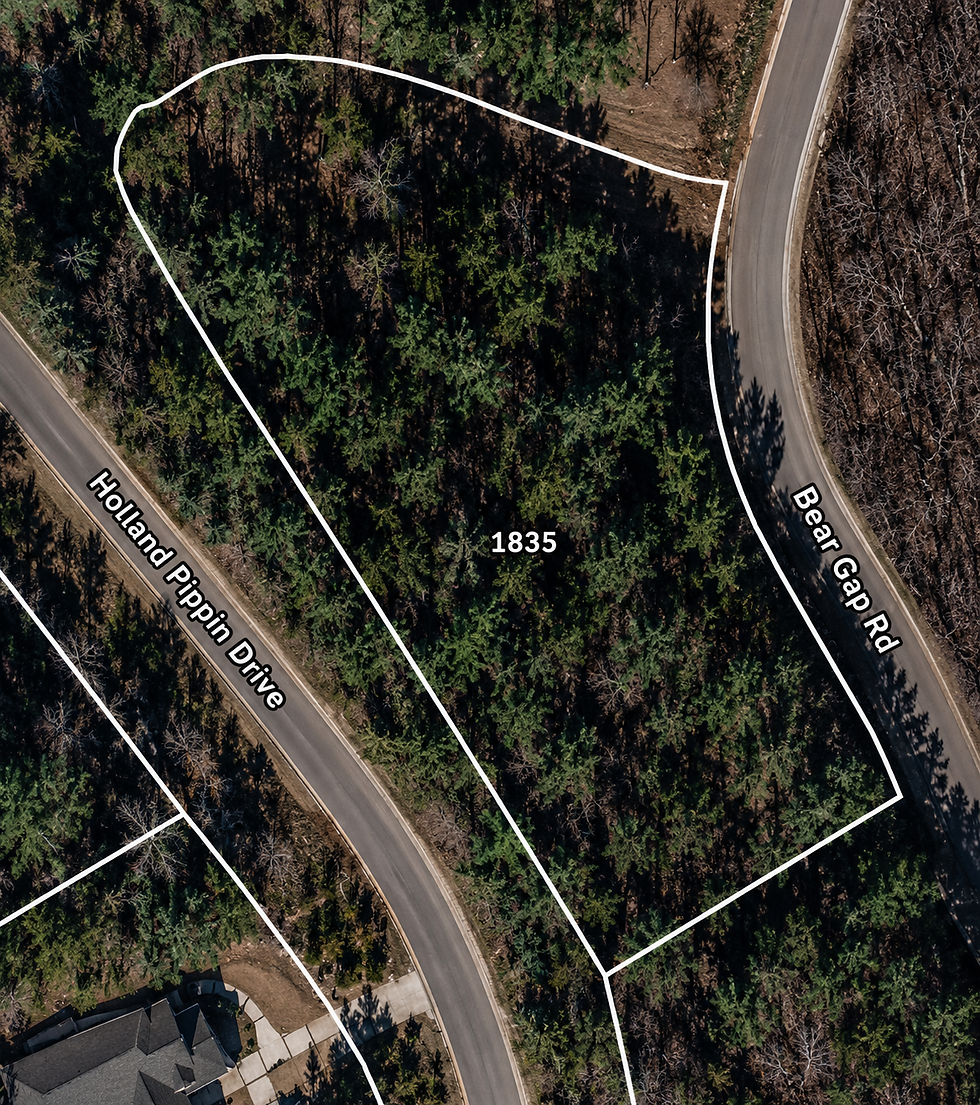 lot-wooded-1-vj_1t5CE.jpg
