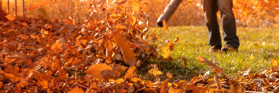 Fall Cleanup Service.jpg