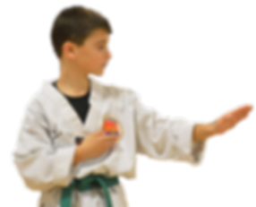 Taekwondo Student Online