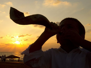 מה שהשופר גילה לי