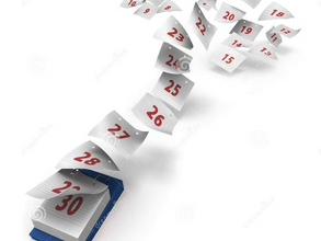 פרשת אמור - זמן ספירת העומר