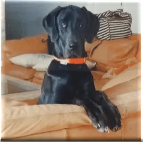 Meaningful Gifts: Custom Etched Tile