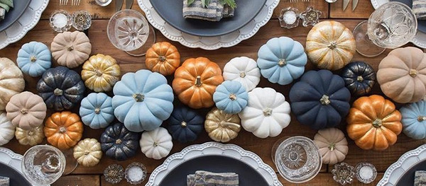 Fall Favorites