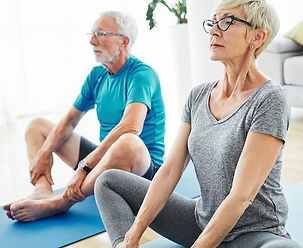 fisioterapia geriatrica