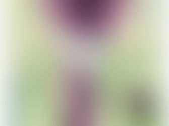 Nombre d'avortement pour 1000 naissances vivantes