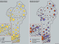 Effectif et répartition des producteurs d'arachide selon le genre