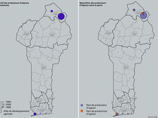 Effectif et répartition des producteurs d'oignon selon le genre
