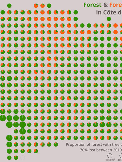 Déforestation en Côte d'Ivoire