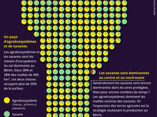 Alternative pour la présentation de données landcover 