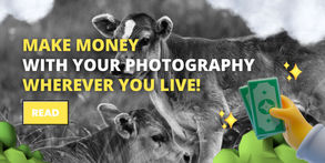 Make Money With Photography - WHEREVER YOU LIVE!