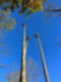 Foto 08-11-23, 15 42 46.jpg