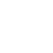 Charter Salnimar logo