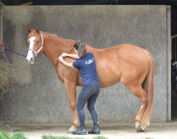 Subclavius release_edited.jpg