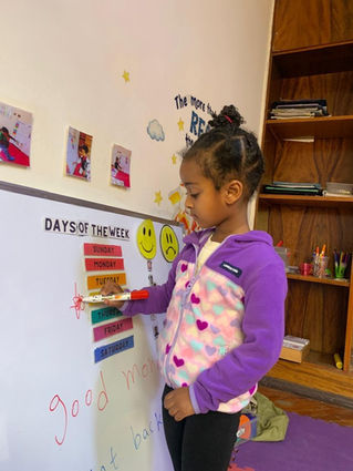 A Week of Curiosity and Exploration in Early Pre-K!