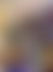 From Words to Worlds: A Week of Learning and Discovery!