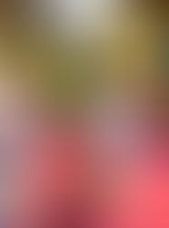 Creativity, Outdoor Fun and More in our Infants & Toddlers Class!