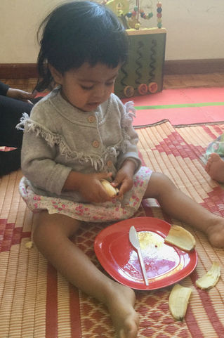 Infants, Toddlers and Transitional Toddlers Weekly Blog