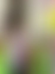 Two Weeks with Our Explorers!