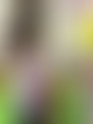 Two Weeks with Our Explorers!