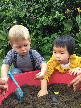 Infant, Toddlers and Transitional Toddlers Monthly blog