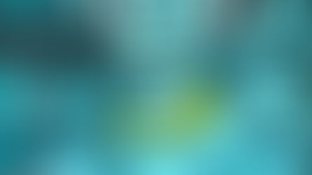 Understanding Product and Project Management