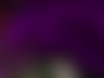 A Vintage Vineyard Wedding