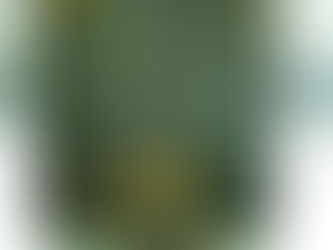 A Rustic Summer Vineyard Wedding