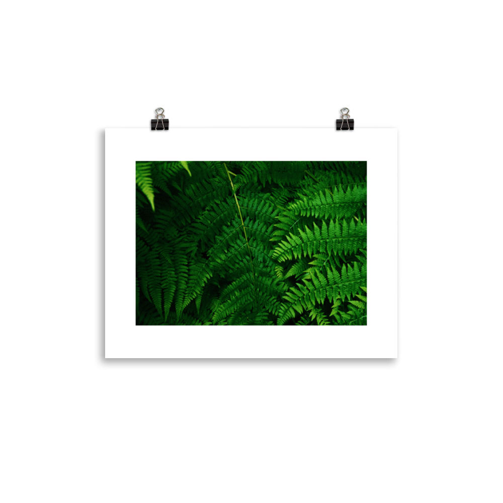 fern print
