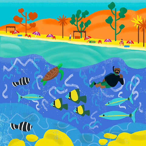 05. BNB_Mergulho Ilha das Couves_R02.jpg