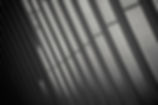 pexels-charlotte-may-5825599.jpg