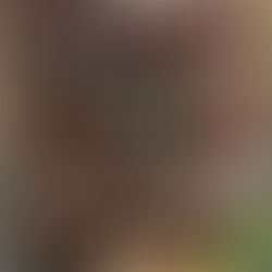 SITE PROGRESS // Portal House