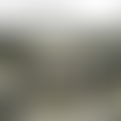 PRESS // SALT SALON IN THE OBSERVER