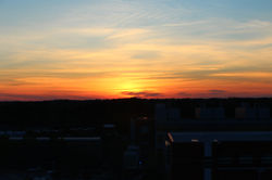 IMG_9707.jpg