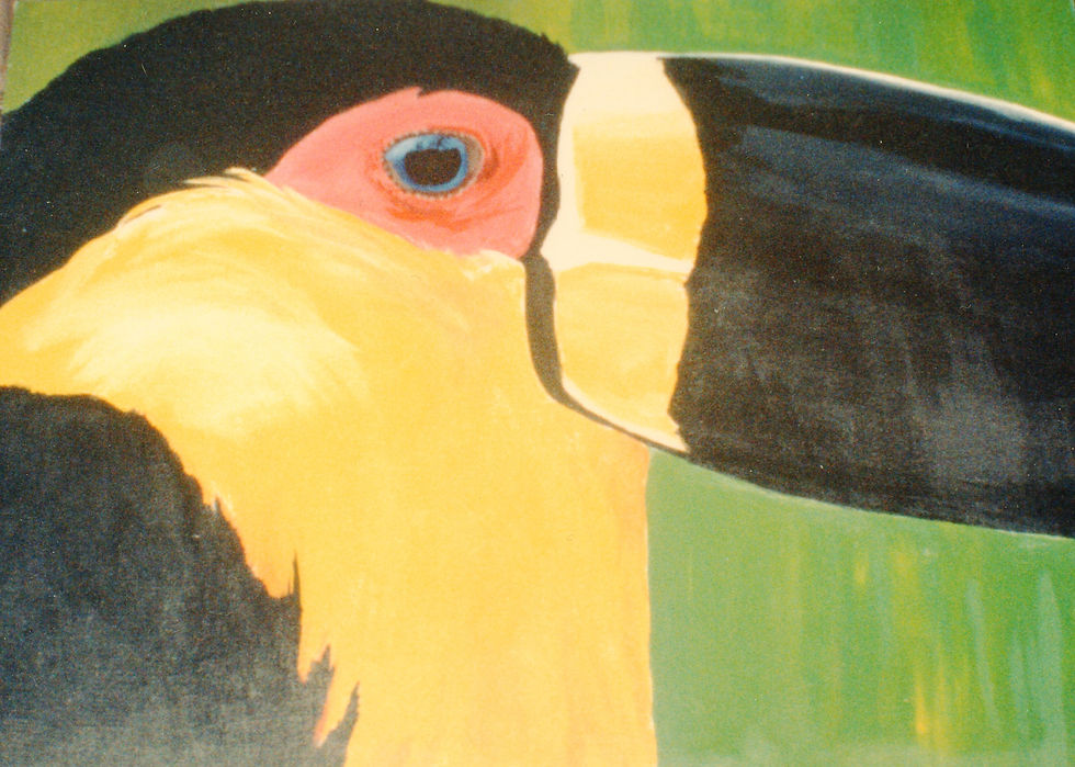 Parrot Head