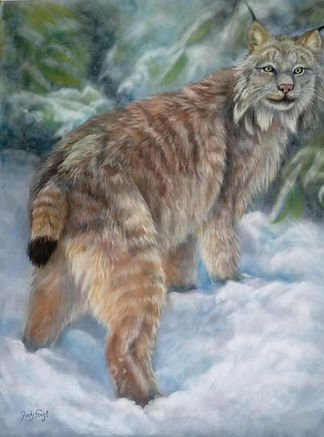 thumbnail_Lynx's walk.jpg