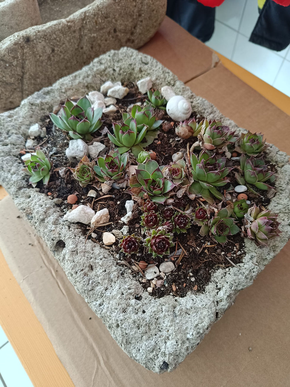 Betontröge herstellen