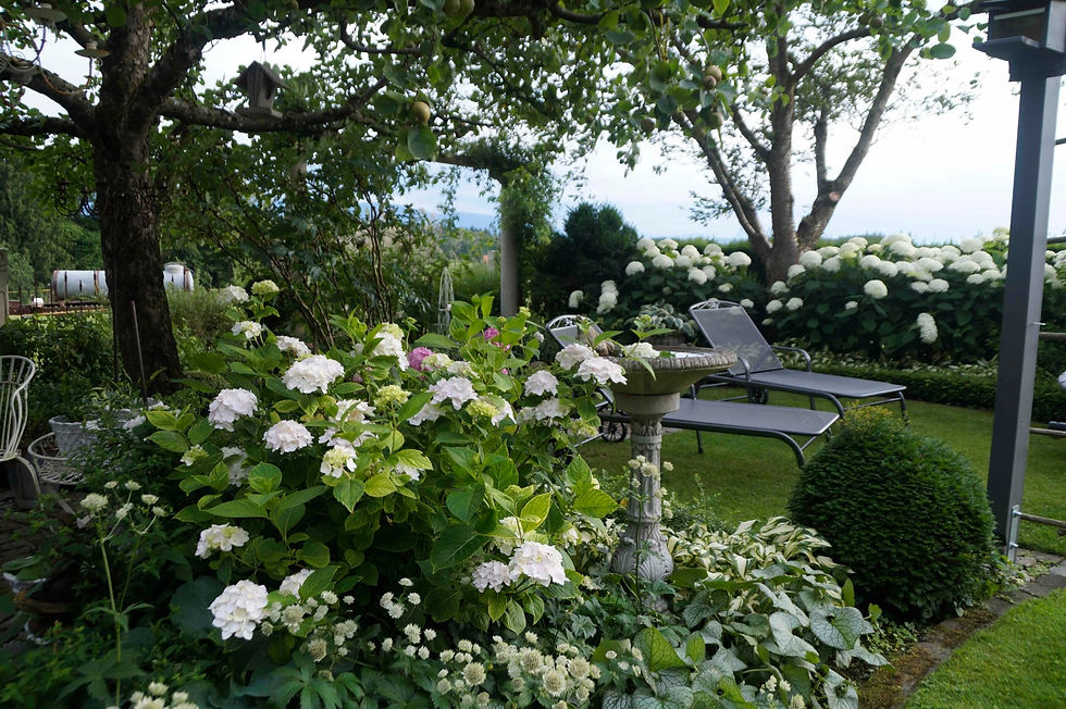 Rosengarten Gitta Mayer