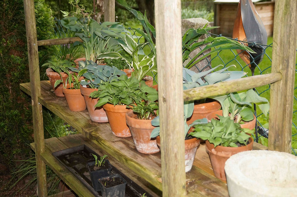 Gartenbesichtigung