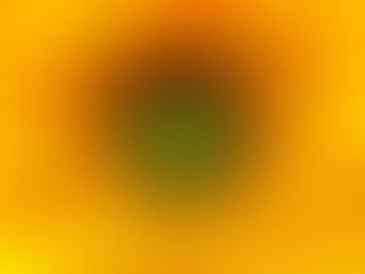 Install This Asana Skill Set for AI