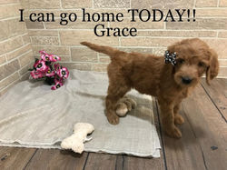 GRACE