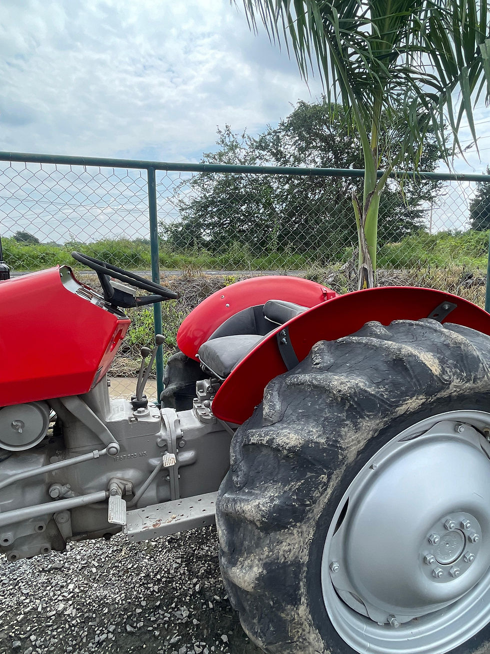 Miniatura: Tractor Massey Ferguson 230