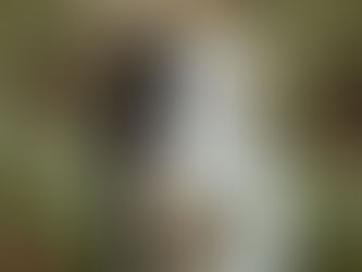 Kauniissa kuvissa pitkähihainen pitsipuku avoimella selällä