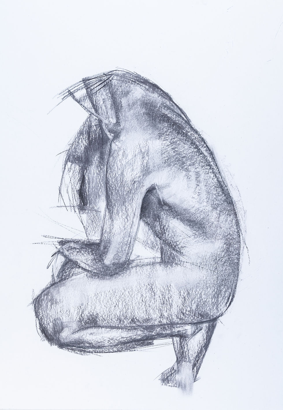 Charcoal, paper / 60x40 cm / 2018