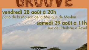 Africa Groove, le concert
