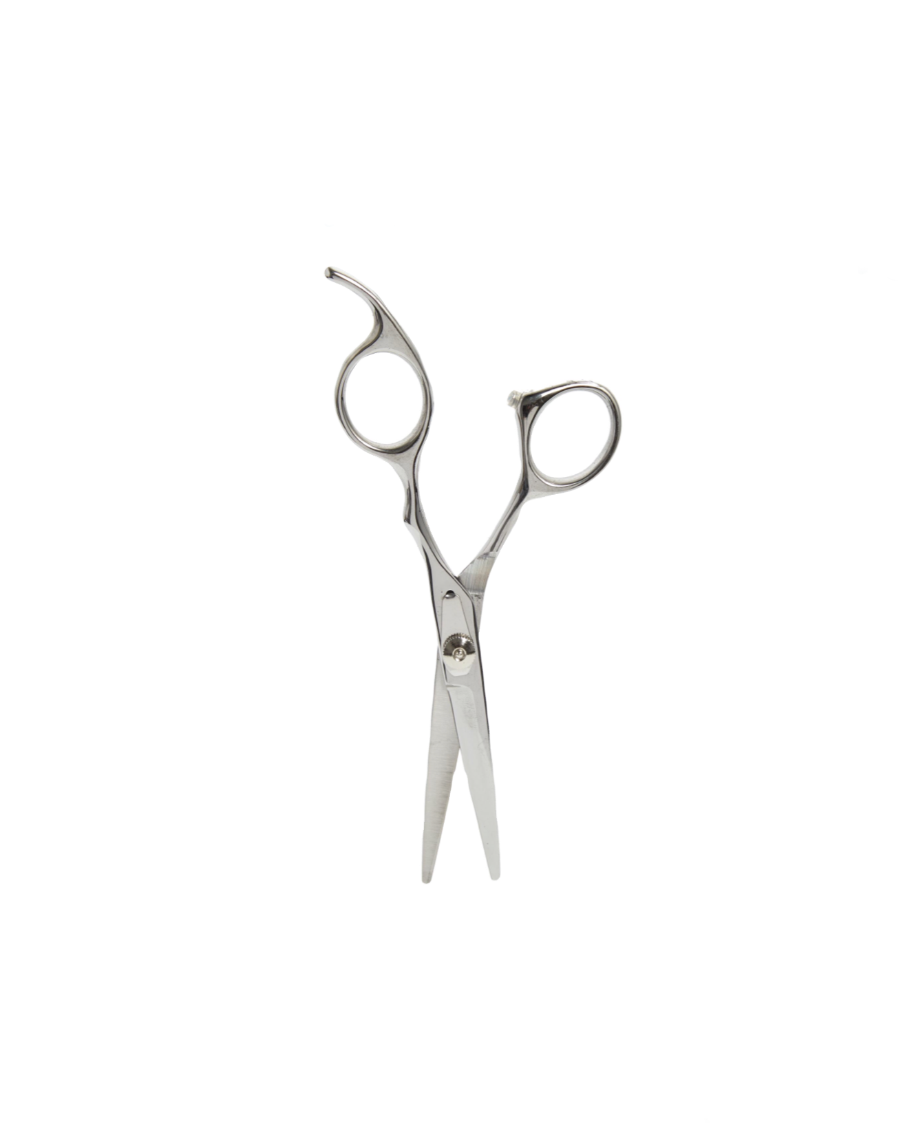 Top Paw® Straight Pet Scissors