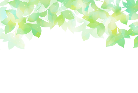 2000葉っぱAdobeStock_1324215365.png