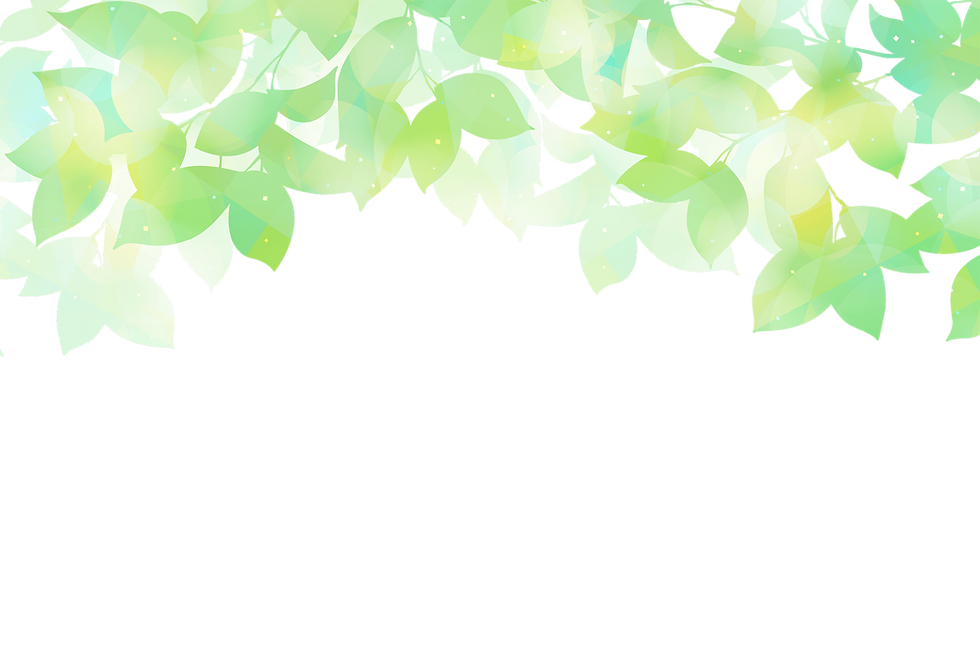 2000葉っぱAdobeStock_1324215365.png